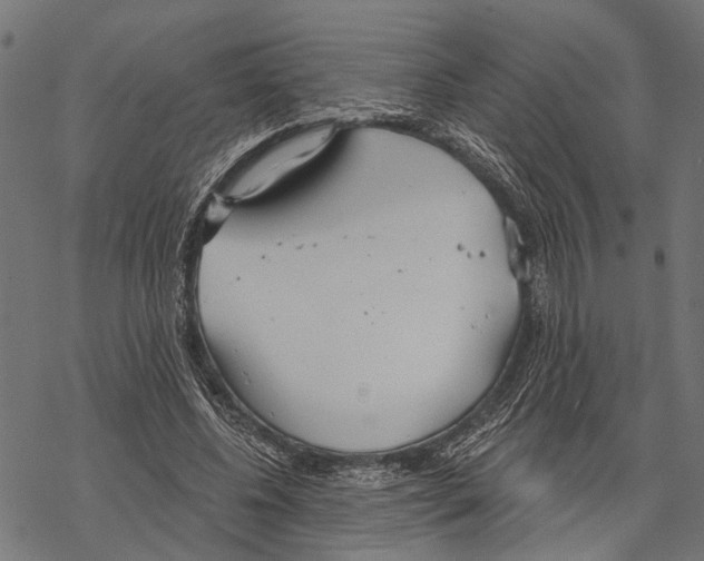 X0000067470540200605051649