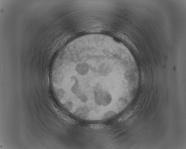 X0000067470541200605051649