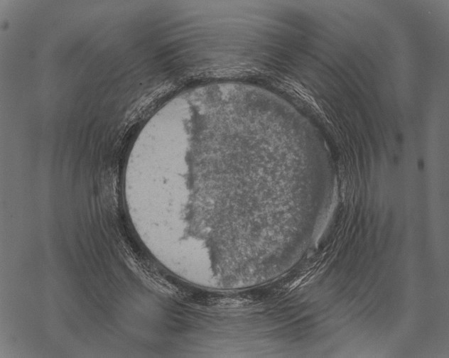 X0000067470542200605051649