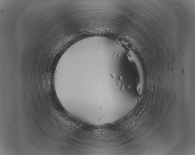 X0000067470544200605051650