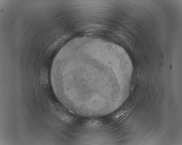 X0000067470547200605051650