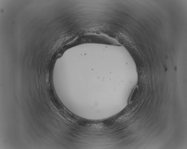 X0000067470548200605051650