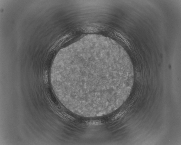 X0000067470549200605051650