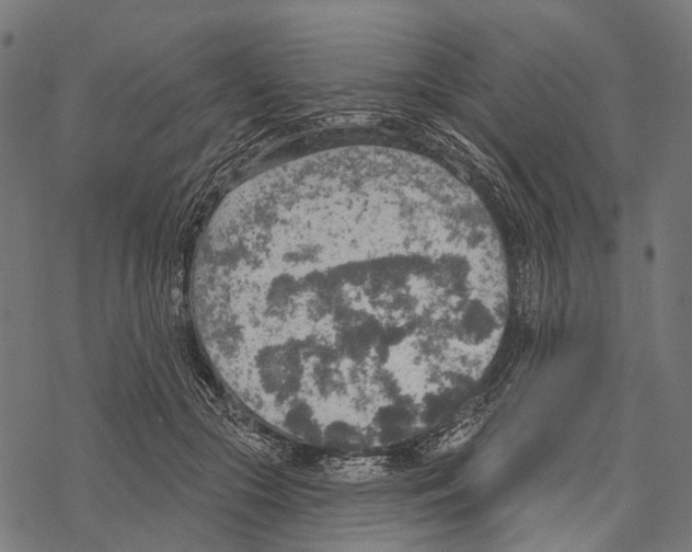 X0000067470553200605051650