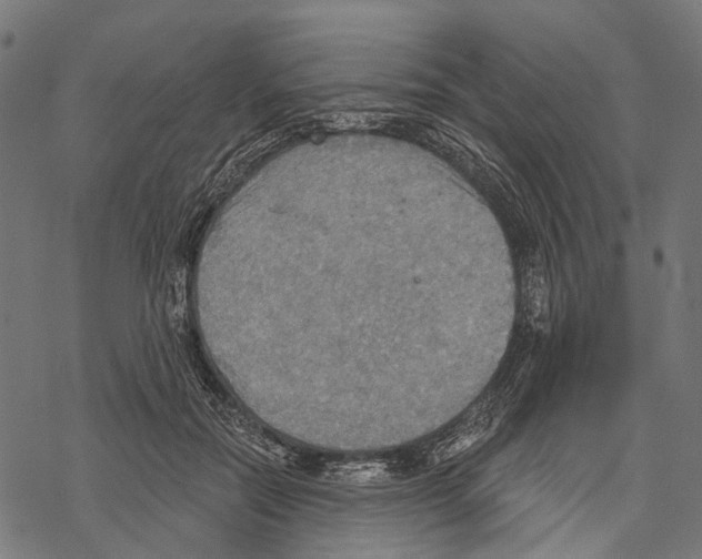 X0000067470554200605051650