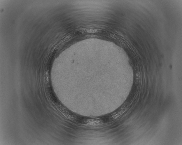 X0000067470555200605051650