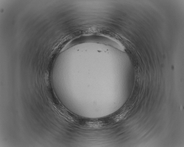 X0000067470556200605051650