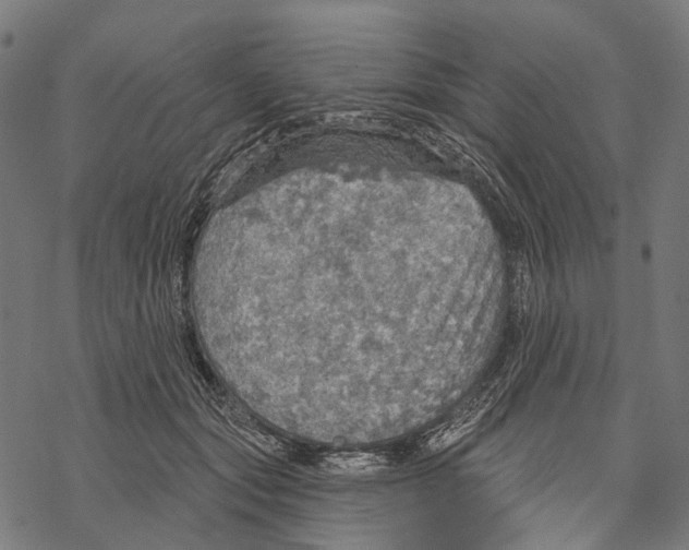 X0000067470557200605051650