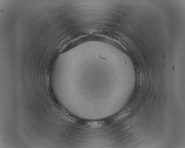 X0000067470558200605051650