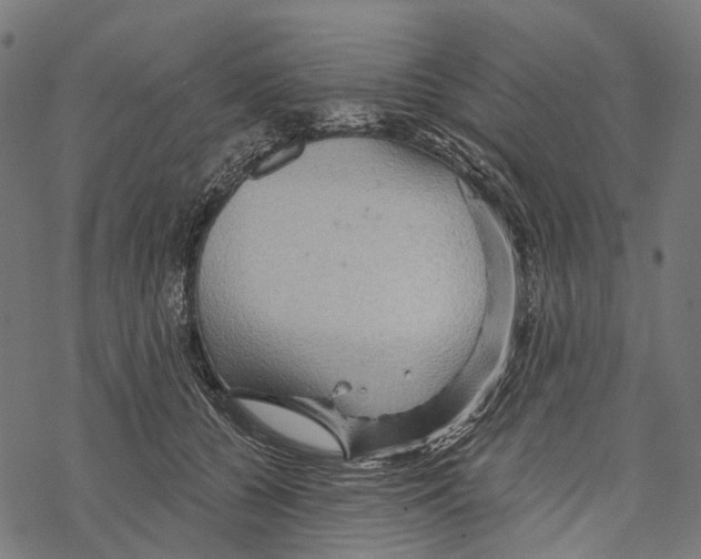 X0000067470560200605051650