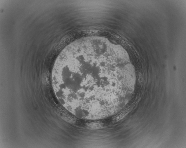 X0000067470561200605051650