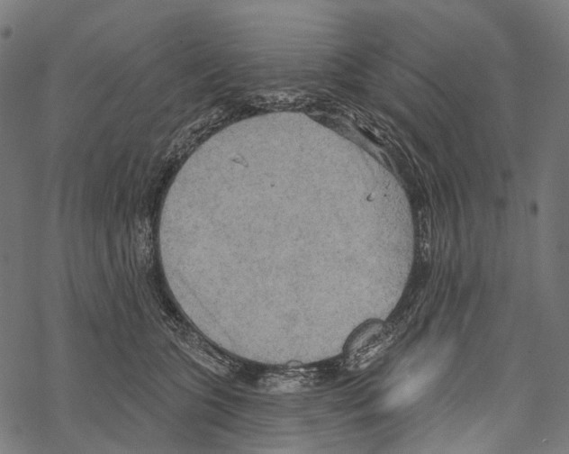 X0000067470563200605051650