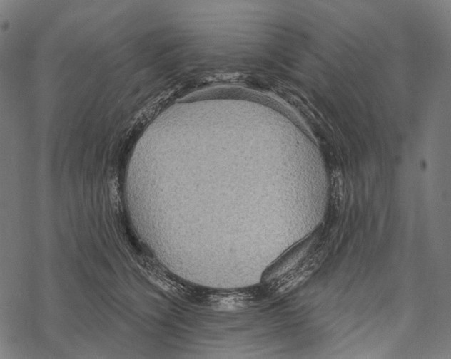 X0000067470564200605051650