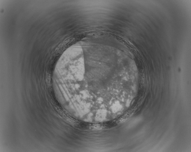 X0000067470565200605051650