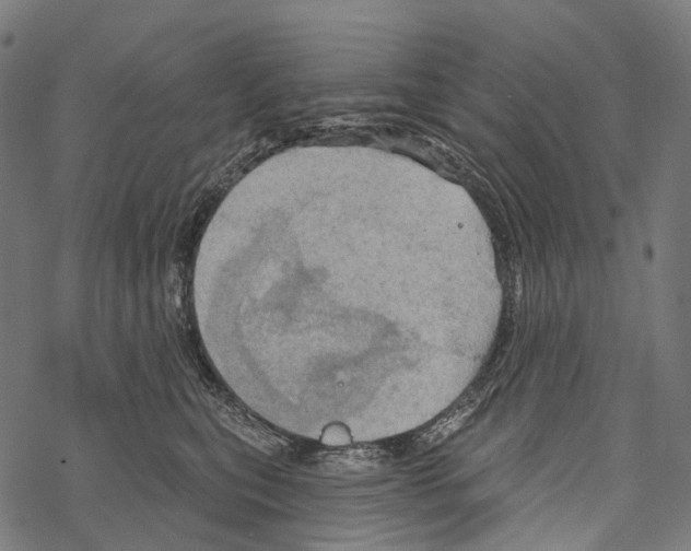 X0000067470567200605051650