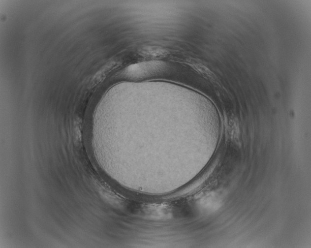 X0000067470570200605051650