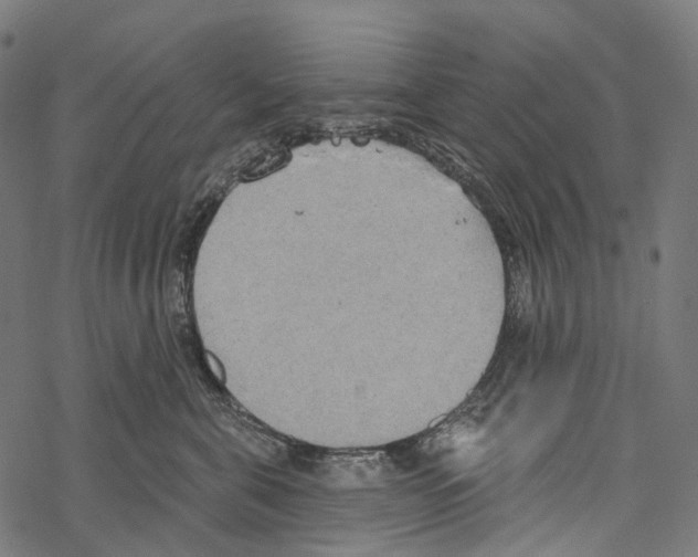 X0000067470571200605051650