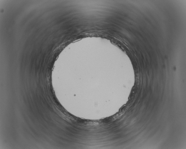 X0000067470572200605051650