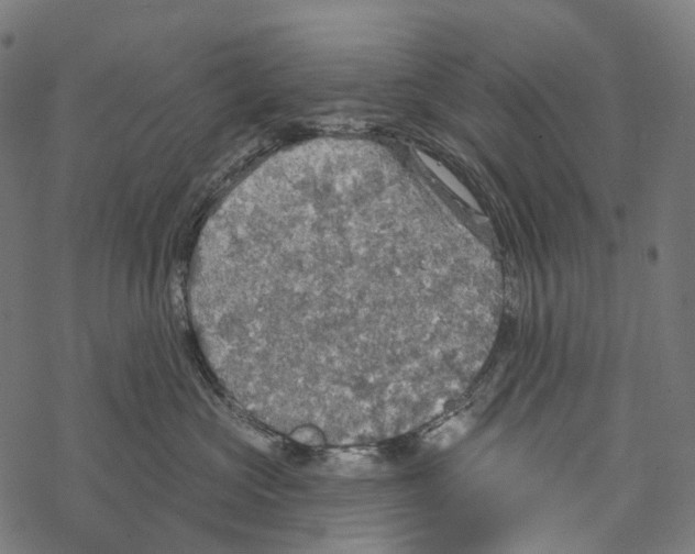 X0000067470573200605051650