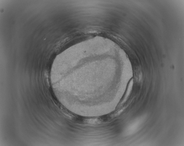 X0000067470575200605051650