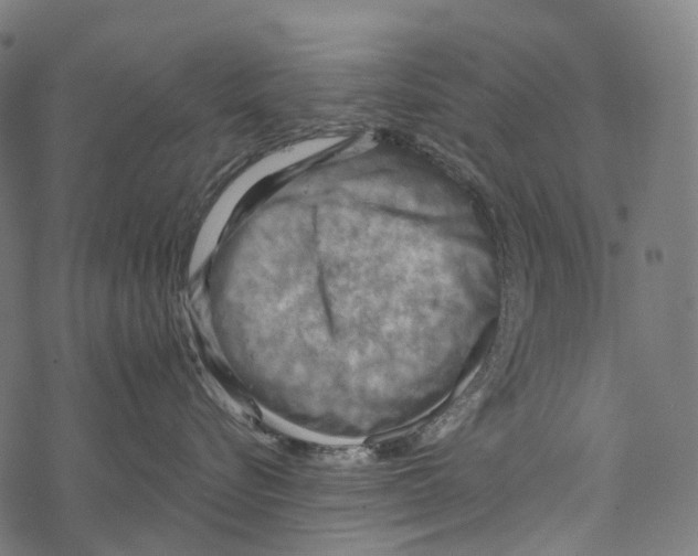 X0000067470576200605051650