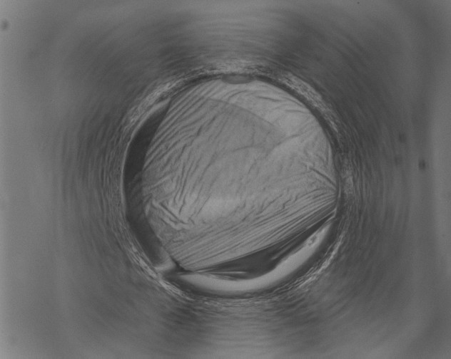 X0000067470577200605051649