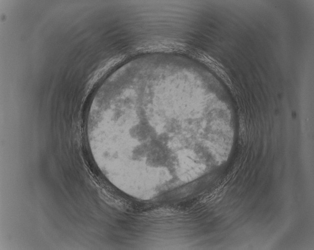 X0000067470578200605051649