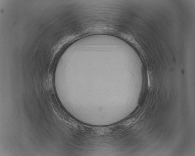 X0000067470579200605051649