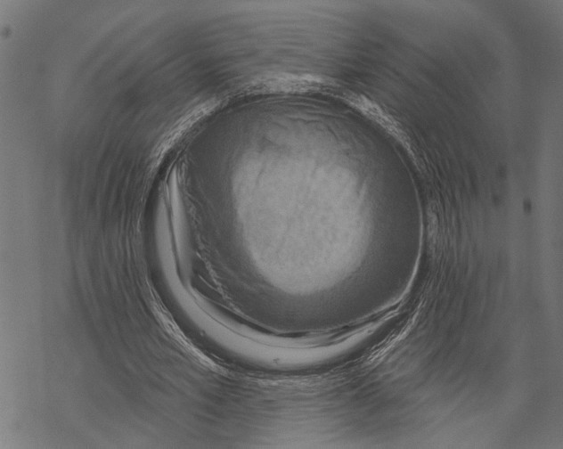 X0000067470581200605051649