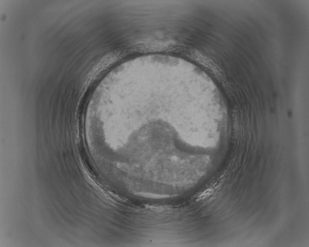 X0000067470582200605051649