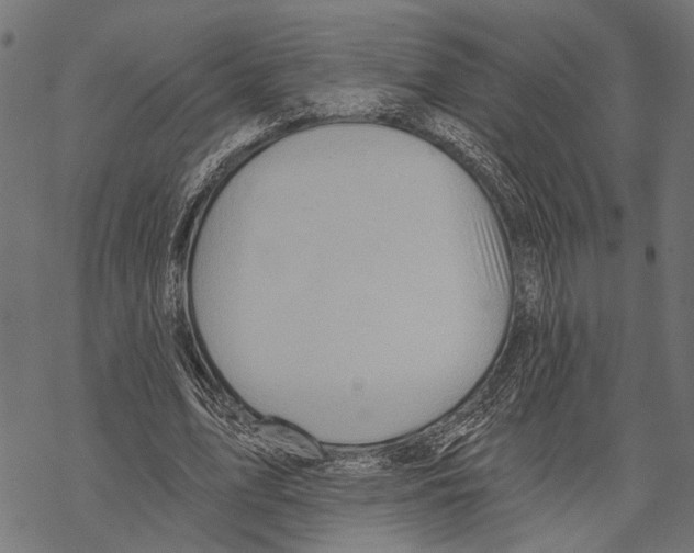 X0000067470583200605051649