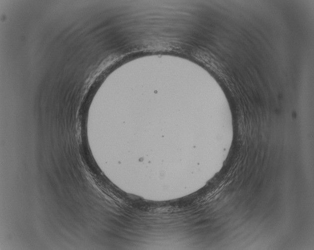 X0000067470584200605051649