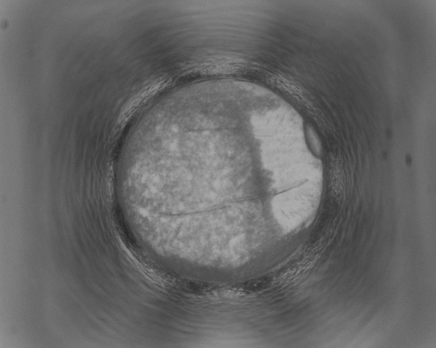 X0000067470586200605051649