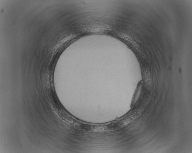 X0000067470587200605051649