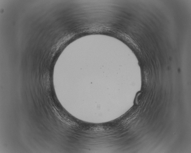 X0000067470588200605051649