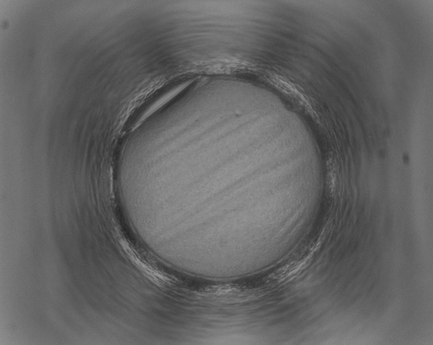 X0000067470589200605051649