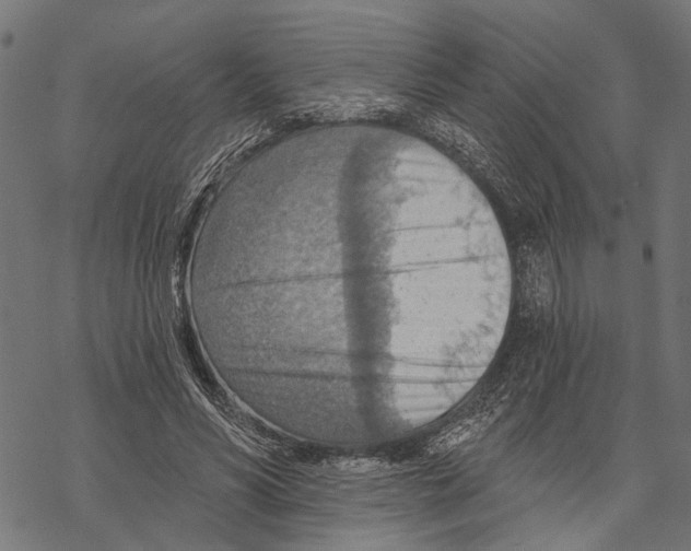 X0000067470590200605051649