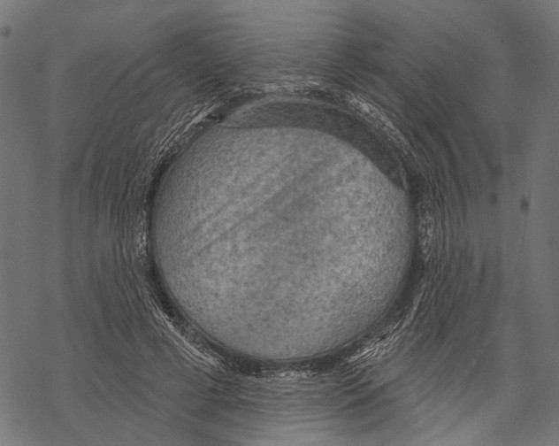 X0000067470593200605051649