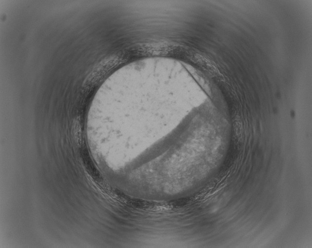 X0000067470594200605051649