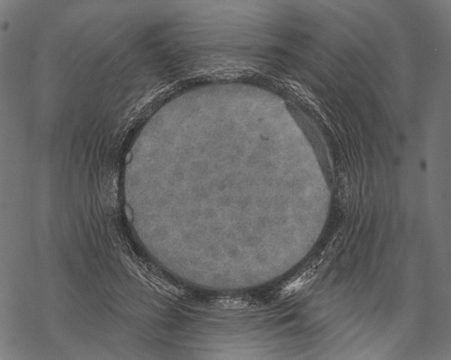 X0000067470596200605051649