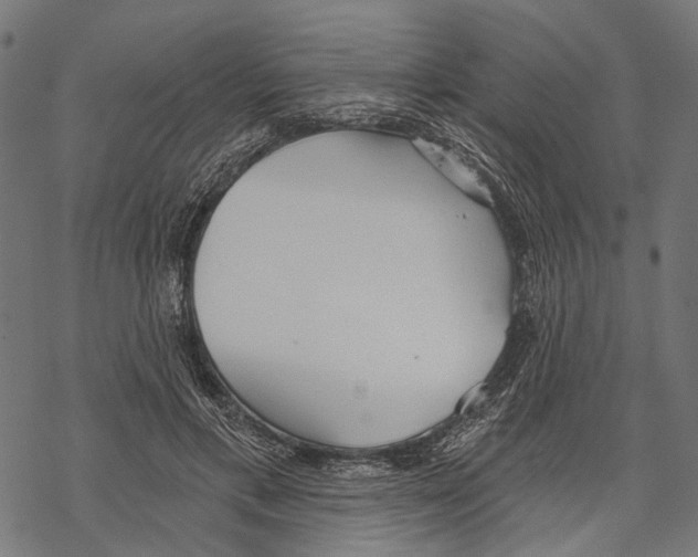 X0000067470597200605051649