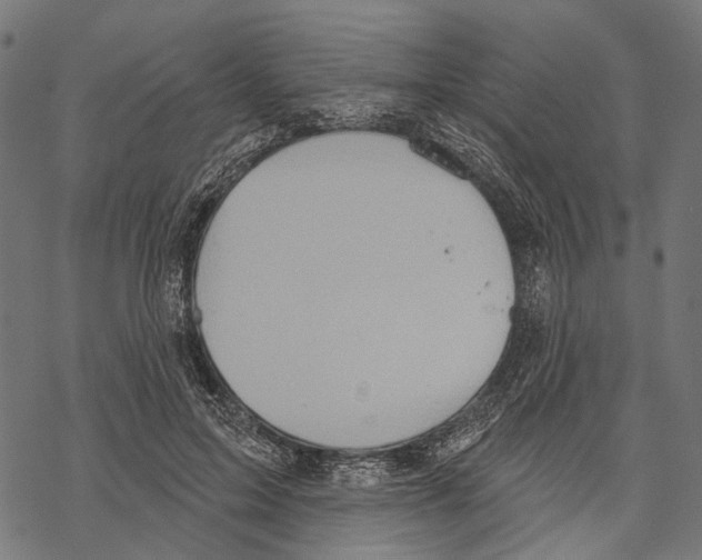 X0000067470599200605051649