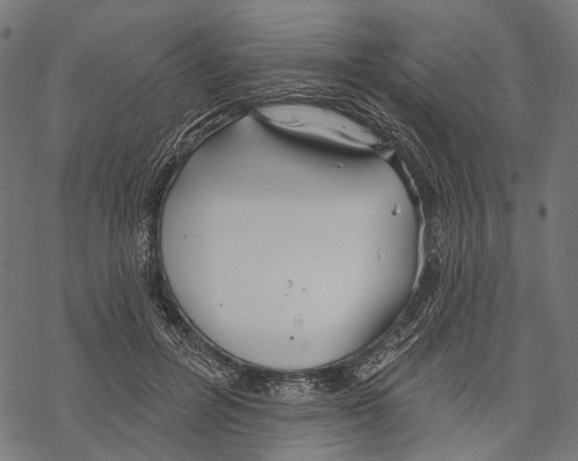 X0000067470600200605051649