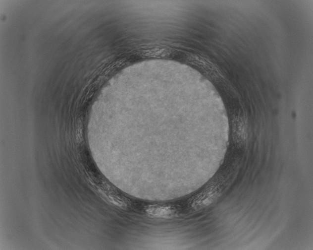 X0000067470602200605051649