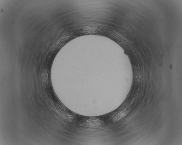 X0000067470603200605051649