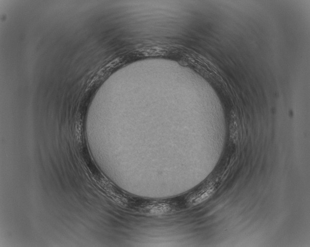 X0000067470604200605051649