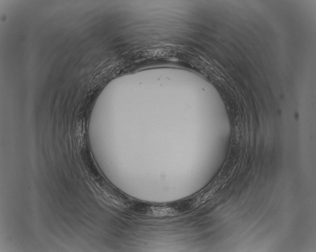 X0000067470605200605051649