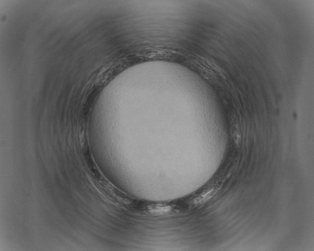 X0000067470607200605051649