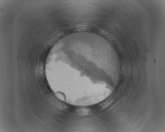 X0000067470610200605051649