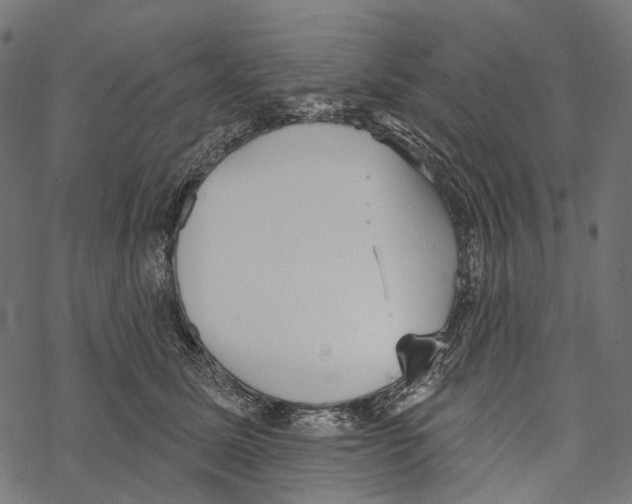 X0000067470611200605051649